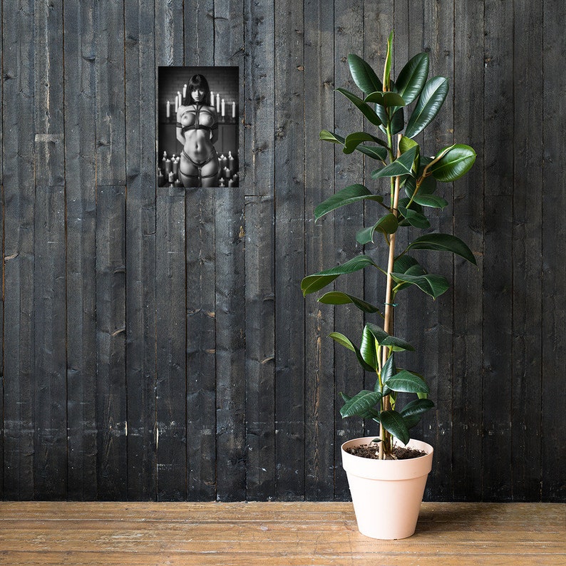Shibari Art Shibari Poster Shibari Girl Shibari Print - Etsy Finland