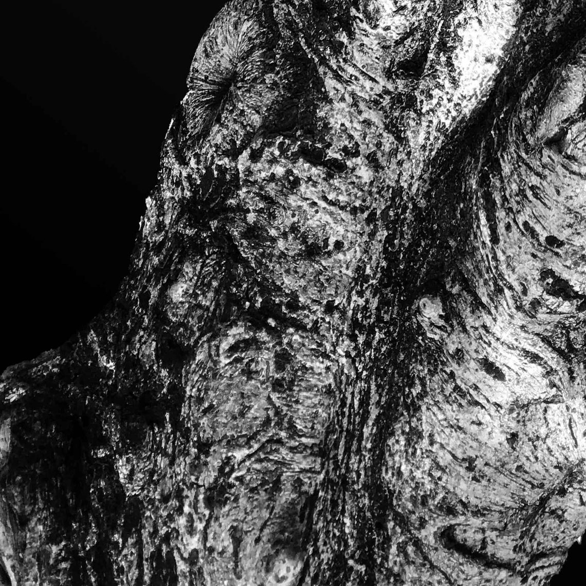 Large Black and White Photograph Artwork Print Instant | Etsy