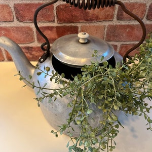 May include: A silver aluminum teapot with a spring handle and a lid. The teapot is filled with green leafy plants.