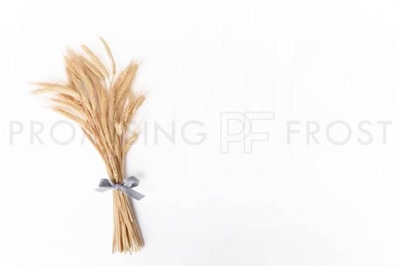 Sale Styled Stock Photography Fall Image Of Wheat Sale Styled Stock Photography Fall Image Of Wheat