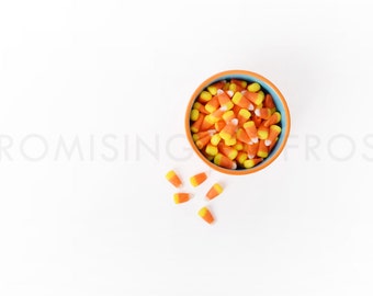 Download Free SALE Styled Stock Photography | 5 Fall Images with Candy Corn, Pumpkins, Gourds, Pinecones on White Desktop | Product Mockup | Digital Image PSD Template