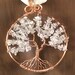 see more listings in the Tree of Life section