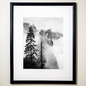 Life and Death at the Edge of a Cliff, Yosemite National Park, California | Black & White Fine Art Photographic Landscape Print