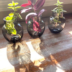 Emo Plant Pot - Etsy