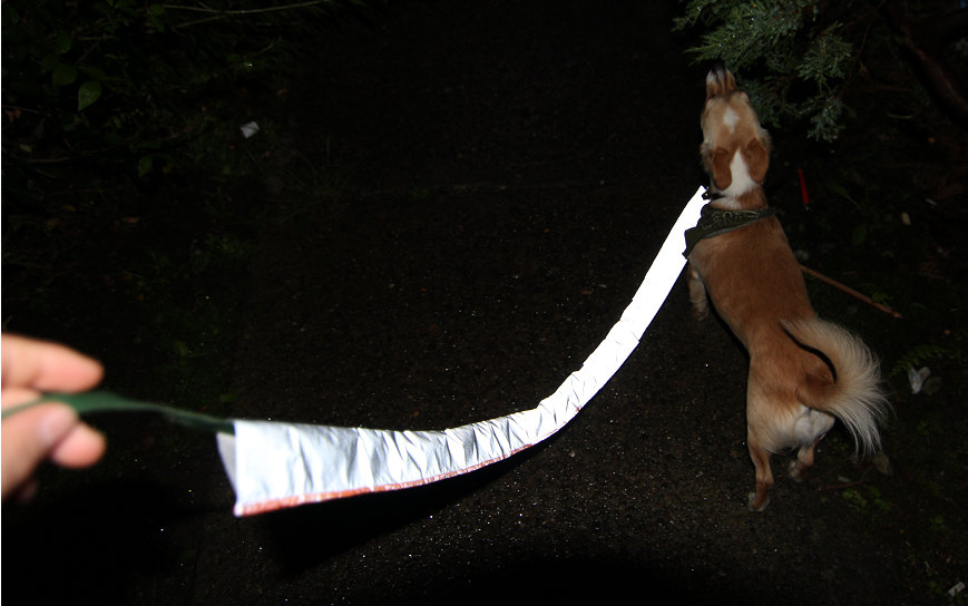 Picture of Reflective Leash Cover - Dog Walking at Night - Night Visibility - Etsy