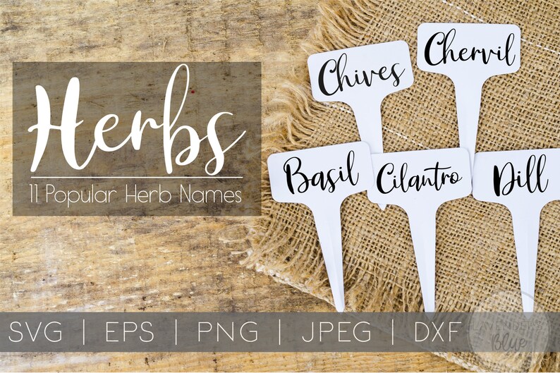 Herb Garden Names 11 Labels SVG Bundle svg eps dxf Etsy