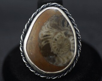 Anello con fossile di ammonite e argento sterling misura 7,5