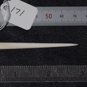 Bone Needle