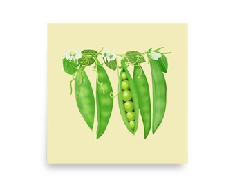Láminas artísticas para la cocina/Guisantes dulces/Ilustraciones artísticas/Arte vegetal/Decoración del hogar/Arte mural