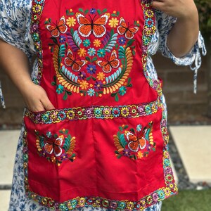 Pu&ograve; includere: Un grembiule rosso acceso con ricami colorati di farfalle e motivi floreali. Il grembiule presenta due tasche e bordi decorativi. Il ricamo delle farfalle include dettagli arancioni, gialli, blu e verdi.