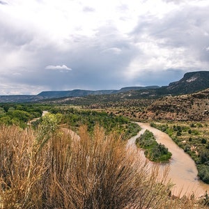 New Mexico Photography, Landscape Photo, Brazos River, Pine Trees, New Mexico Art Mountain Wall Art, Black and White, Southwest Landscape
