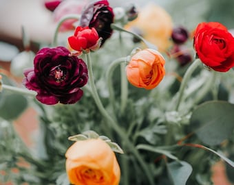 Ranunculus Flower Photo, Colorful Flower Prints, Etsy Botanical Art, Mixed Colored Ranunculus, Flowers Wall Art, Nature Photography Print