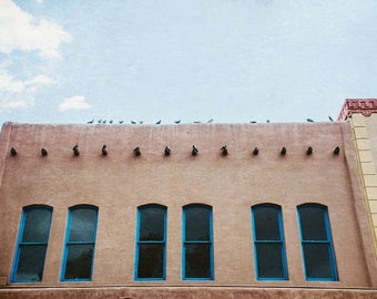 Santa Fe New Mexico Photography, Adobe Photo Southwest Picture Home Decor, Window Photo, Turquoise Adobe Architecture Photography Bird Print