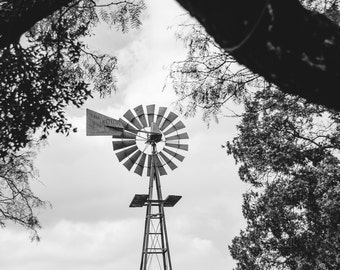 Windmill Nature Photography Trees Country Rural Texas Black and White Fine Art Photo Print Summer Spring Decor TX Countryside  Farm Land