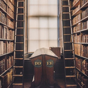 Trinity College Library, Library Photo, Bookcase, Ladder, Ireland Vintage Books, Art Print, Dublin Ireland Print, Book Photo, Office Decor