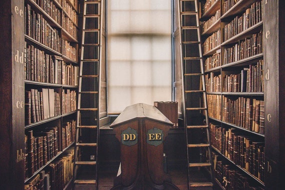 Library bookcase with sale ladder