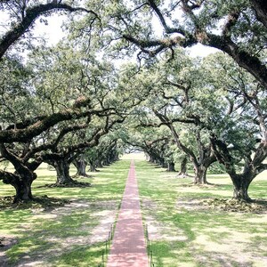 Louisiana Photography, Oak Alley Plantation, Tree Photo, Southern Photo, Louisiana Landscape, Live Oak Tree, Fine Art Photography, Wall Art