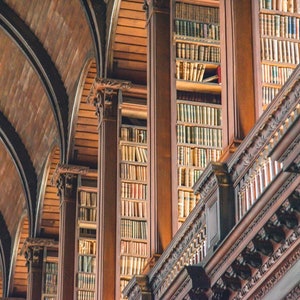 Trinity College Library, Library Photo Bookcase, Book Photo Ireland Vintage Books, Art Print, Dublin Ireland Print, Book Photo, Office Decor