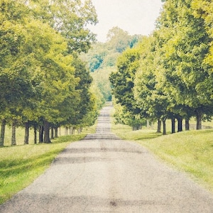 Green Landscape Photography, Tree Art, Fine Art Photography, Nashville Tennessee, TN Rustic Nature Tree Print, Landscape Print, Road Photo