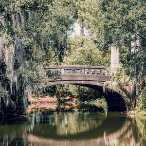 Spanisches Moos, New Orleans Oak Tree, Bridge Fotografie New Orleans Park New Orleans Druck, Louisiana Art, Audubon Park Fine Art Fotografie,