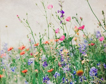 Texas Bluebonnets, Wildflowers, Photography, Mixed Flowers, Photo Fine Art, Landscape Nature Flower, Colorful Nature Field, Poppy Picture