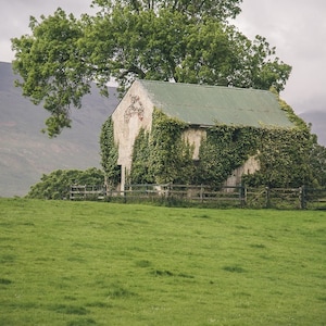 Ireland Photo, Rustic Cottage, Ireland Wall Art, Green Ivy, Country Decor, Irish Decor, Galway, Dublin, Kerry, Ireland Art, Old Barn Art