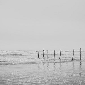 Ocean Wood Posts, Beach Wood Pillars, Seaside PIer, Galveston Texas, Beach Photograph, Beach Seaside Photo Boardwalk, Water Art Seaside Bird