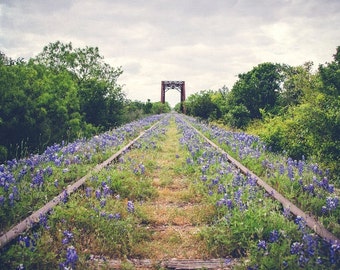 Texas Bluebonnets, Railroad, Train Tracks, Bridge, Nature Photography, Wildflowers, Flowers,  Photo, Print Texas Decor, Landscape Bluebonnet
