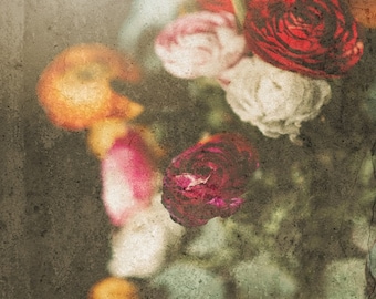 Ranunculus Flower Photo, DIGITAL Flower Prints, Vintage Flowers, Botanical, Shabby Chic, Ranunculus, Flower Art, Digital Art, Downloadable