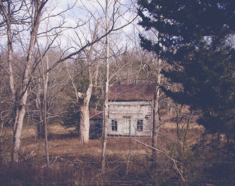 May include: A white wooden house with a brown roof sits in a clearing surrounded by bare trees. The house has two windows and a door. The trees are bare and the ground is covered in brown leaves.