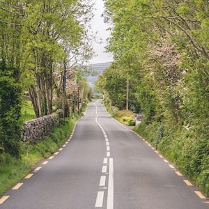 Ireland Landscape Photo, Ireland Road, Rolling Green Hills, Ireland Picture, Ireland Print, Country Decor, Ireland Art, Irish Gift, Tree Art