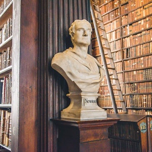 Trinity College Library, Library Photo, Bookcase, Ladder, Ireland Vintage Books, Art Print, Dublin Ireland Print, Book Photo, Office, Newton