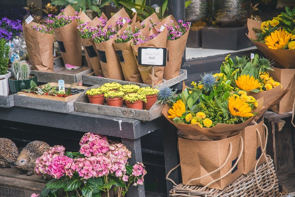 Galway Ireland Photo Flower Shop Pink Flowers Ireland Etsy
