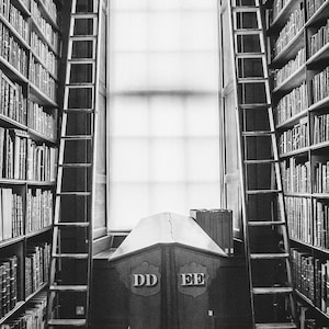 Trinity College Library, Library Photo, Bookcase, Ladder, Ireland Vintage Books, Art Print, Dublin Ireland Print, Book Photo, Office Decor
