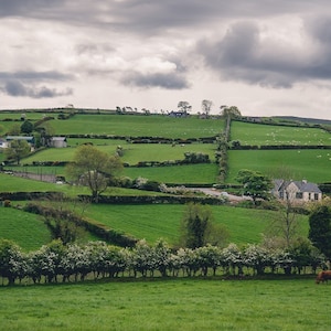 Ireland Landscape Photo, Irish Cottage, Rolling Green Hills, Ireland Picture, St. Patrick&#39;s Day, Country Decor, Ireland Art, Irish Gift