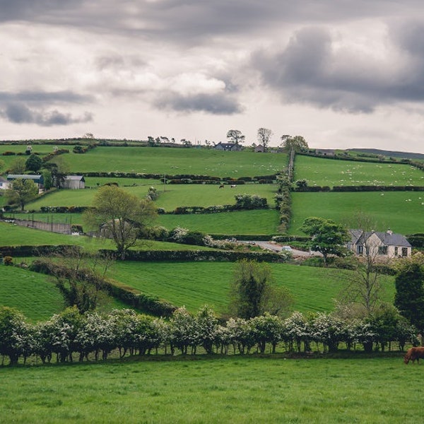 Ireland Landscape Photo, Irish Cottage, Rolling Green Hills, Ireland Picture, St. Patrick's Day, Country Decor, Ireland Art, Irish Gift
