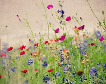 Texas Bluebonnets, Wildflowers, Photography, Mixed Flowers, Photo Fine Art, Landscape Nature Flower, Colorful Nature Field, Poppy Picture
