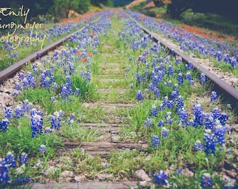 Texas Bluebonnets, Railroad, Train Tracks, Nature Photography, Wildflowers, Flowers,  Photo, Print Texas Decor, Landscape Bluebonnet