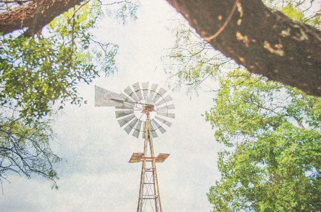 Windmill Nature Photography Trees Country Rural Texas, Rustic Fine Art Photo Print, Summer Spring Decor TX Countryside  Farm Land