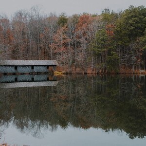 Covered Bridge Photo, Bridge Print, Bridge Art, Covered Bridge, Bridges, Reflection, Alabama Photo, Landscape Photo, Bridge Photography