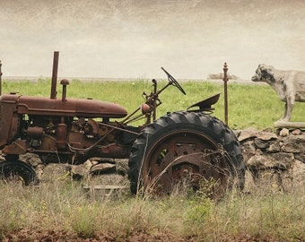 Country Landscape Print, Tractor Photography, Farm Decor, Texas Photo, Farmhouse Decor, Shabby Chic, Cow Picture, Rustic Decor, TX Art, Cows