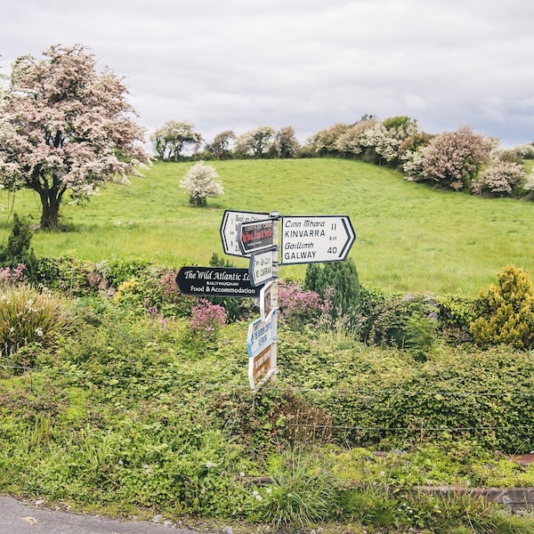 Street Sign Photo Etsy