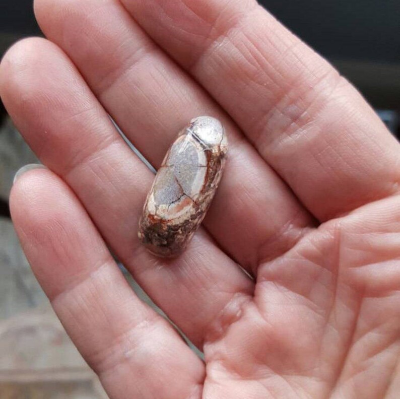 large cab large stone oval Birds Eye Rhyolite Cabochon rhyolite large cabochon 27mm x 11mm hand cut cab brown white red birds eye