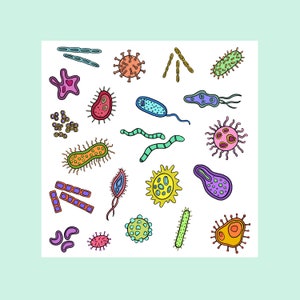 Cute Microbes and Bacteria DIGITAL DOWNLOAD PDF Art Print