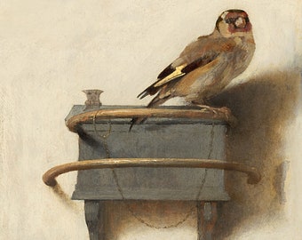 Carel Fabritius "The Goldfinch" 1654 Reproduction Digital Print Bird Nature Wildlife