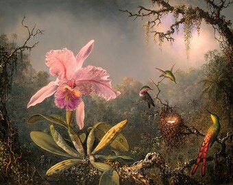 Martin Johnson Heade "Cattleya Orchid and Three Brazilian Hummingbirds" 1871 Reproduction Digital Print Floral Print Flower and Birds