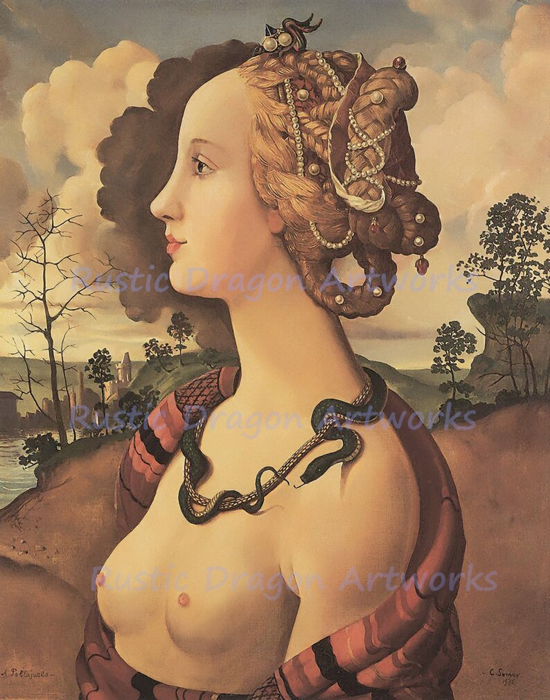 Piero di Cosimo Portrait of Simonetta Vespucci 1490 Reproduction Digital Print Italian Renaissance Noblewoman Genoa Snake Wall Hanging image 1