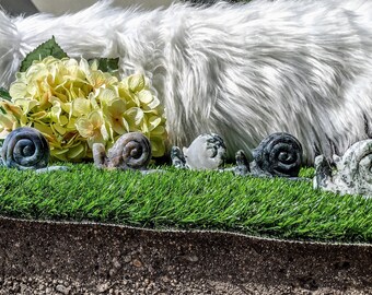 Moss Agate Snails