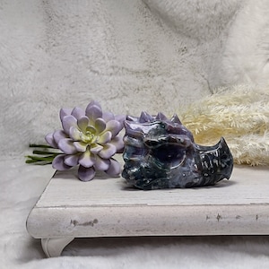 Ocean Jasper Dragon Skull Crystal
