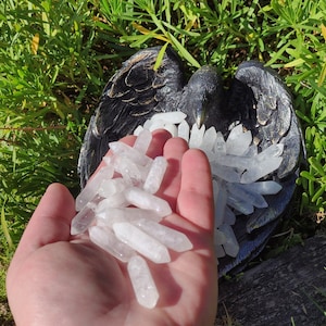 May include: A hand holding a pile of white quartz crystal points. The crystals are in a variety of sizes and shapes. The crystals are in a black bird-shaped dish.